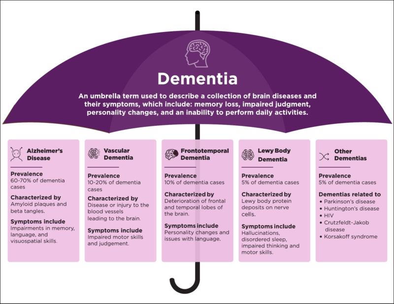 Understanding the Umbrella of Dementia Summerfield of Redlands